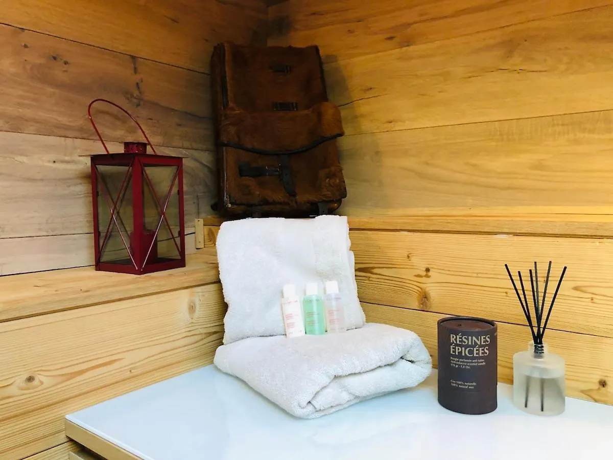 Cosy Duplex With Hammam-Steamroom In Rochebrune Megeve