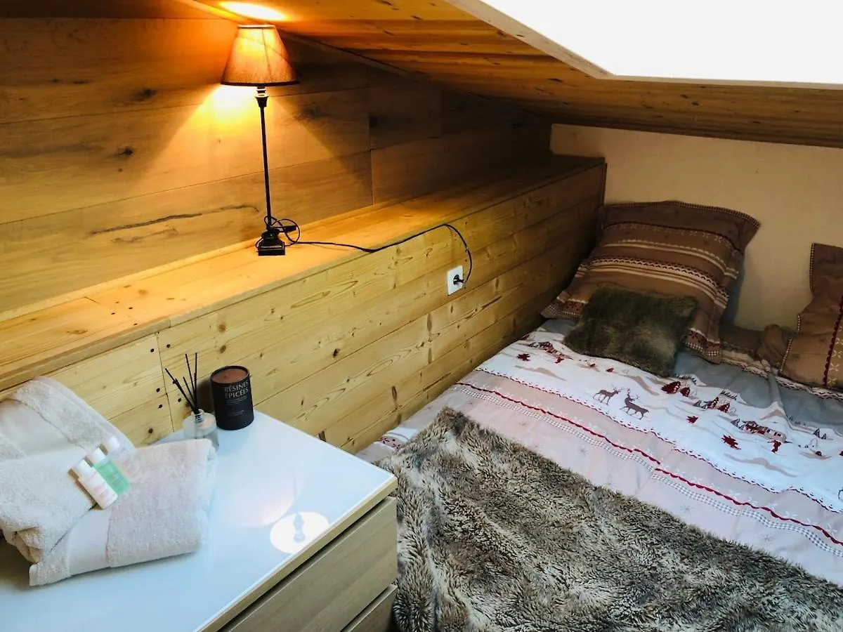 Cosy Duplex With Hammam-Steamroom In Rochebrune Megeve Apartment