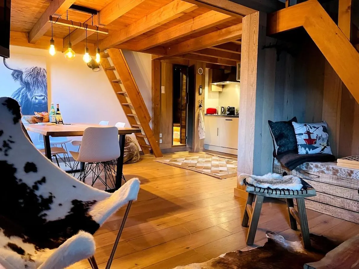 Cosy Duplex With Hammam-Steamroom In Rochebrune Megeve Apartment